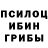 Галлюциногенные грибы Psilocybine cubensis BLADE MAN