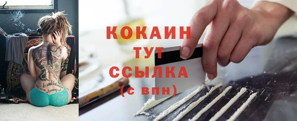 прущие грибы Арсеньев