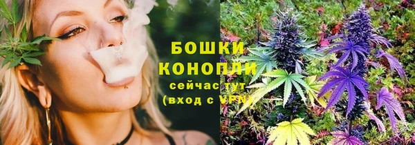 прущие грибы Арсеньев