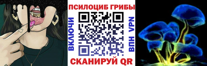 darknet наркотические препараты  Рославль  Псилоцибиновые грибы MAGIC MUSHROOMS  mega вход 